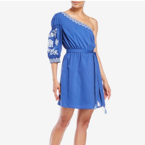 Lulumari Dresses & Skirts - Anthropologie Lulumari | Blue Embroidered Dress S